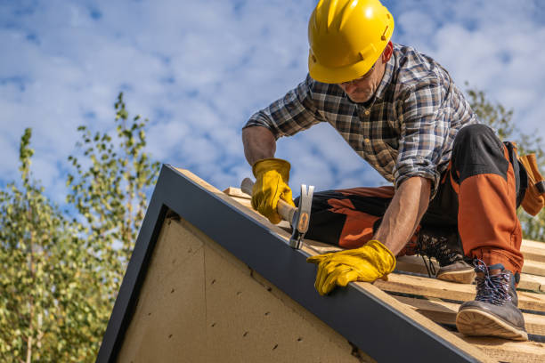 Best Roof Coating and Sealing  in Holiday Island, AR